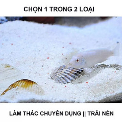 5KG Cát thủy sinh thạch anh lọc nước, trải nền, làm thác cát, trang trí bể cá, khử asen, tạp chất có trong nước ăn hàng ngày ... 