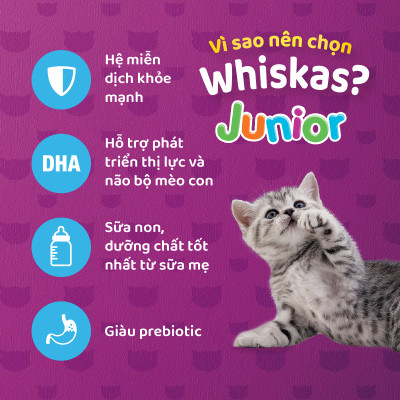 [Bộ 2] Thức Ăn Cho Mèo Con Whiskas Junior 2-12 Months Vị Cá Thu & Cá Biển (Mix Vị) 1.1kg/Túi