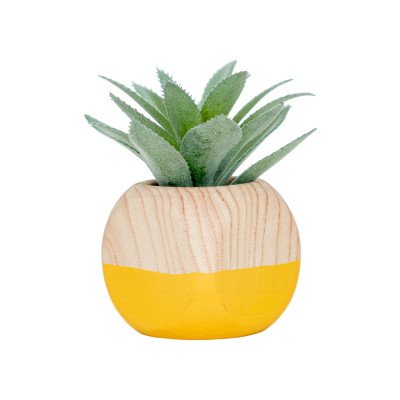 Chậu Cây Xương Rồng IRIS - B Trang Trí Nhà Cửa | Index Living Mall | Nội Thất Nhập Khẩu Thái Lan