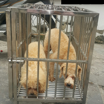 Chuồng chó Inox Juno Sofa KT (40 x 60 x 60cm) Không có mái che