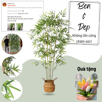 Cây trúc, tre giả - Size từ 120cm đến 200cm - Cây giả, hoa lụa Decor trang trí nhà cửa