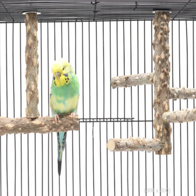 1 CÁI CẦU ĐẬU GỖ GẠO (TREO TRONG LỒNG) CHO CHIM, VẸT ĐỨNG