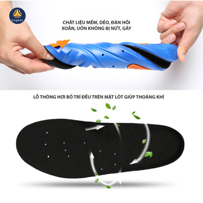 Lót giày thể thao EVA biết thở và có 2 đệm chịu lực hỗ trợ vận động thể thao - Đen phối xanh - buybox - BBPK155