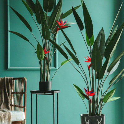 Cây thiên điểu lá nhọn giả - Size từ 120cm, 160cm, 180cm - Cây giả, hoa lụa Decor trang trí nhà cửa