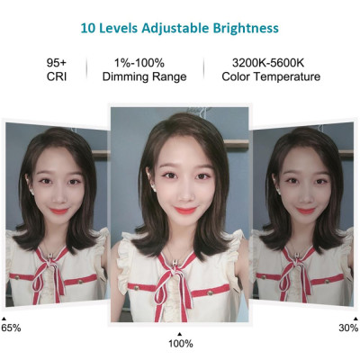 Đèn livestream PULUZ 6.2 inch 72 LED, 3 chế độ màu, cổng USB