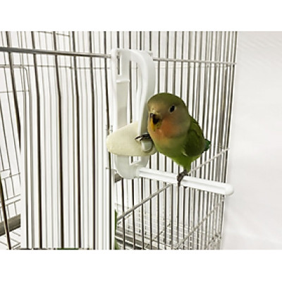 1 kẹp nan mực (nhựa màu trắng) dùng kẹp nan mực lên cho chim, vẹt ăn