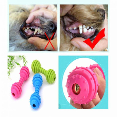 Xương gặm đồ chơi cho chó (Màu ngẫu nhiên)