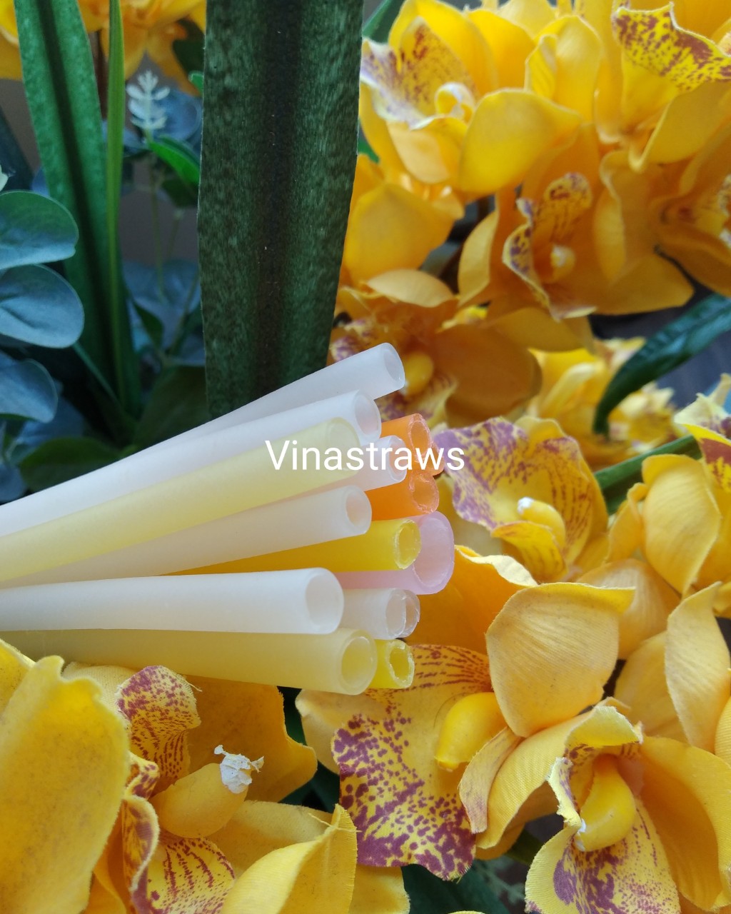 Ống hút gạo ăn được ống hút gạo thân thiện môi trường