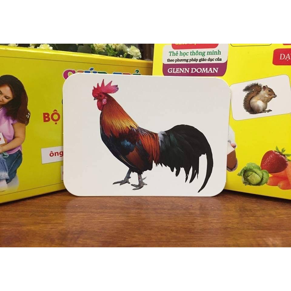 Thẻ Học Thông Minh Flashcard Song Ngữ Cho Bé