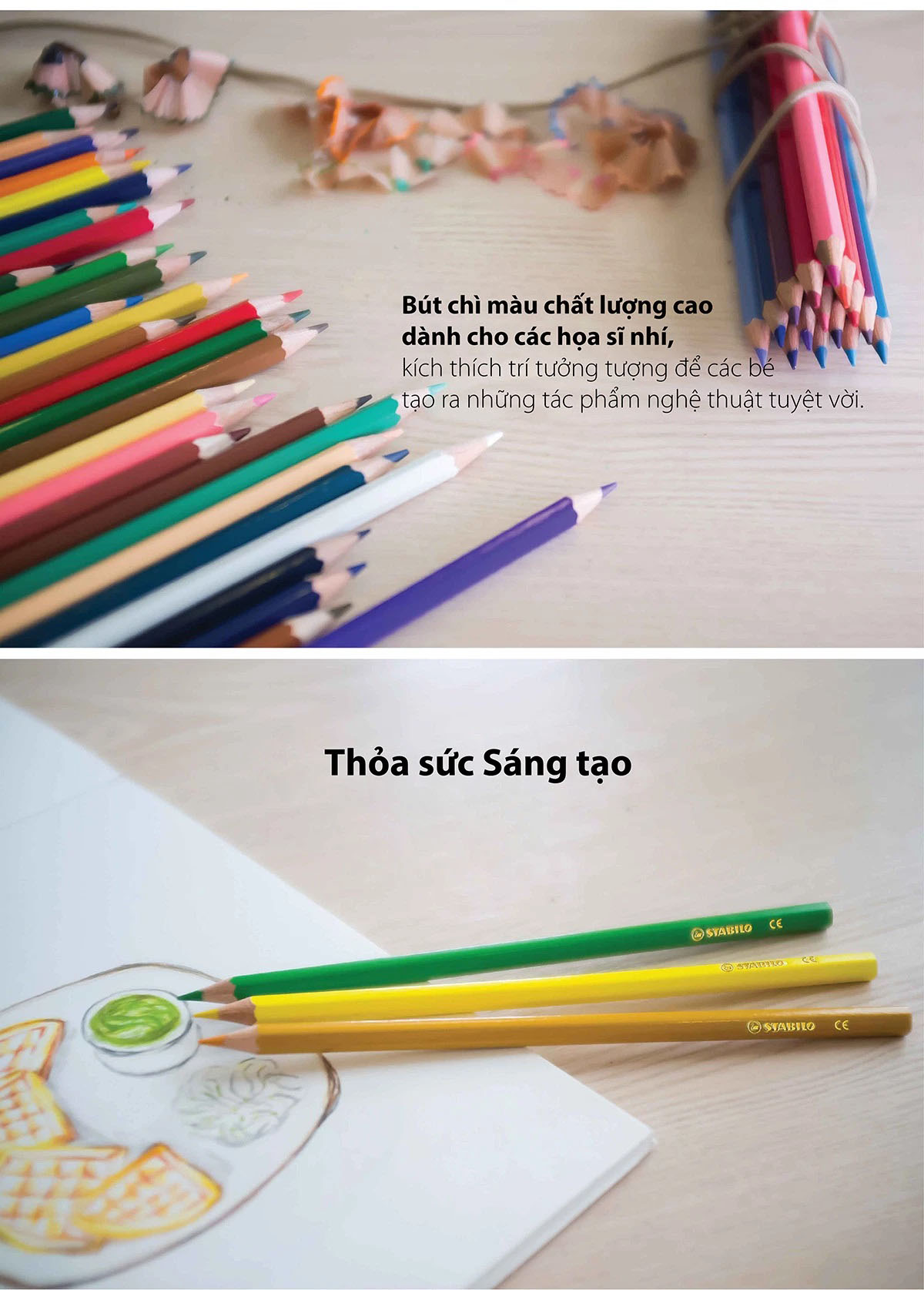 Combo bút chì màu Swans 36 màu - Hộp 36 màu + Tuyển tập tô màu SVCB (CLS1878-36B)