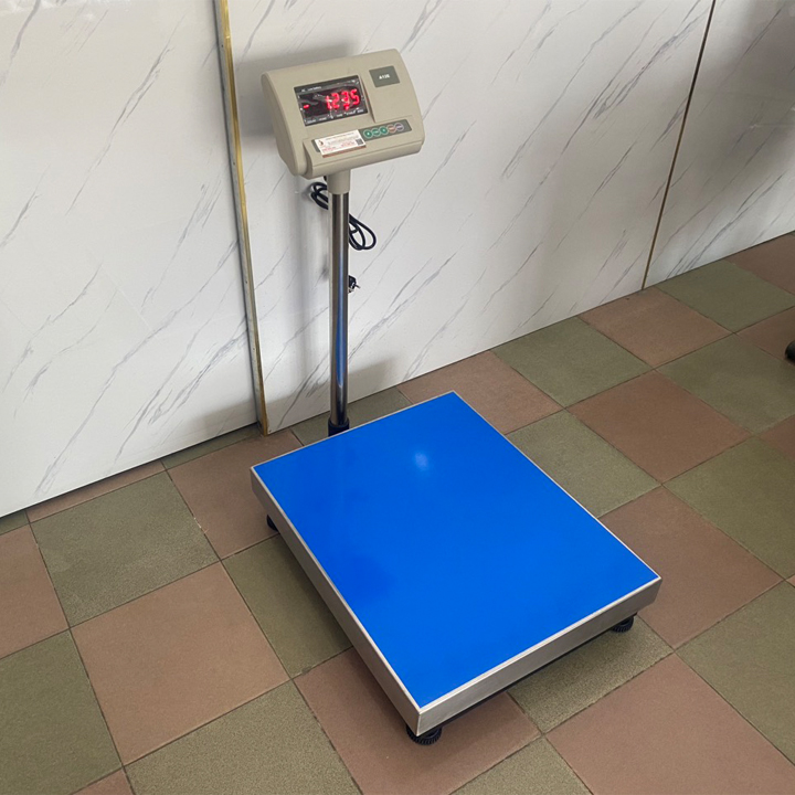 Cân điện tử 500kg A12E