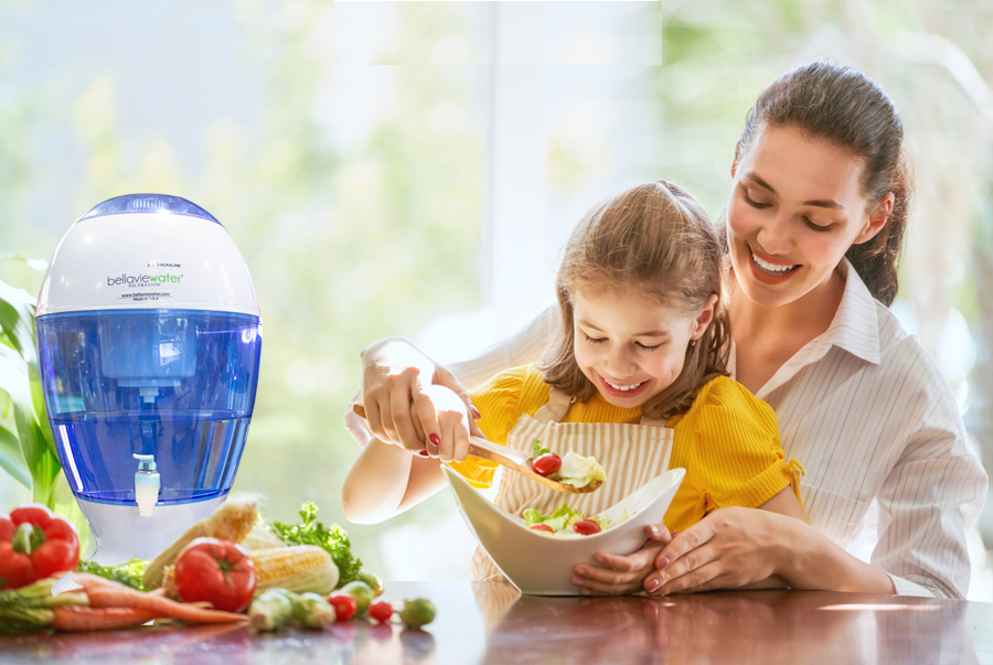 Combo Máy lọc nước gia đình tạo ion kiềm + 01 Lõi lọc thay thế - Hàng nhập khẩu Mỹ