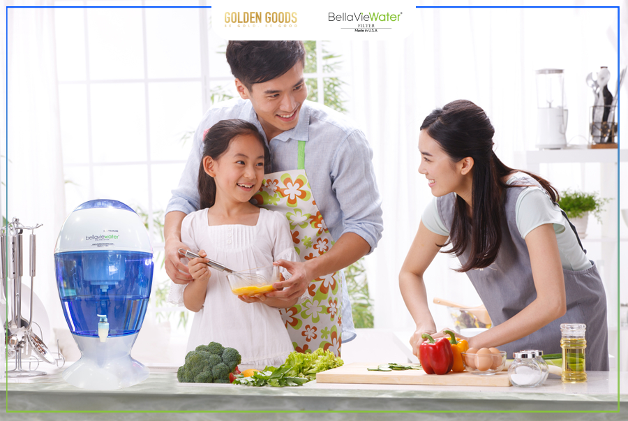 Combo Máy lọc nước gia đình tạo ion kiềm + 01 Lõi lọc thay thế - Hàng nhập khẩu Mỹ