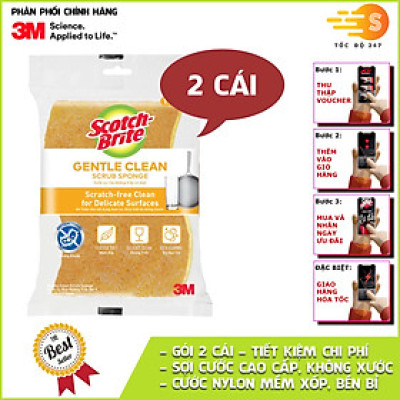 Gói 2 Miếng cước rửa chén có mút không trầy xước 115x70mm Scotch-Brite 3M SB-CRV - Lấy sạch vết bẩn, an toàn nồi chảo, rửa sạch nhanh chóng