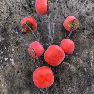 Quả giả, cành quả hồng 5-7 trái trang trí nhà cửa, quán cà phê, nhà hàng sang trọng QH-57