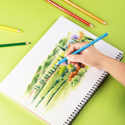 Hộp Tròn 12 Bút Chì Màu Deli EC112-12