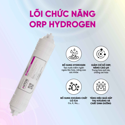 Lõi lọc nước - Hàng chính hãng Mutosi số 8/9 - Lõi Chức Năng - Lõi Đúc ORP HYDROGEN