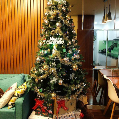 Cây thông noel màu xanh cao 180cm - Tán dày và đẹp, cây thông chắc chắn và dể tháo lắp