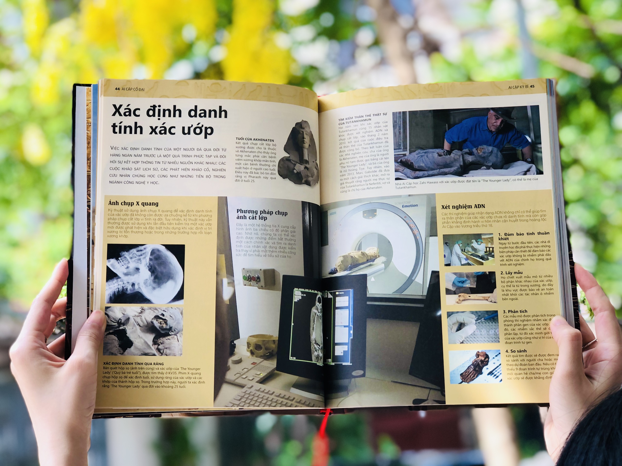Combo sách Ai cập cổ đại và sách Trái đất ( bộ 2 cuốn ) - Tổng hợp kiến thức về khoa học tự nhiên và lịch sử - Á Châu Books bìa cứng in màu