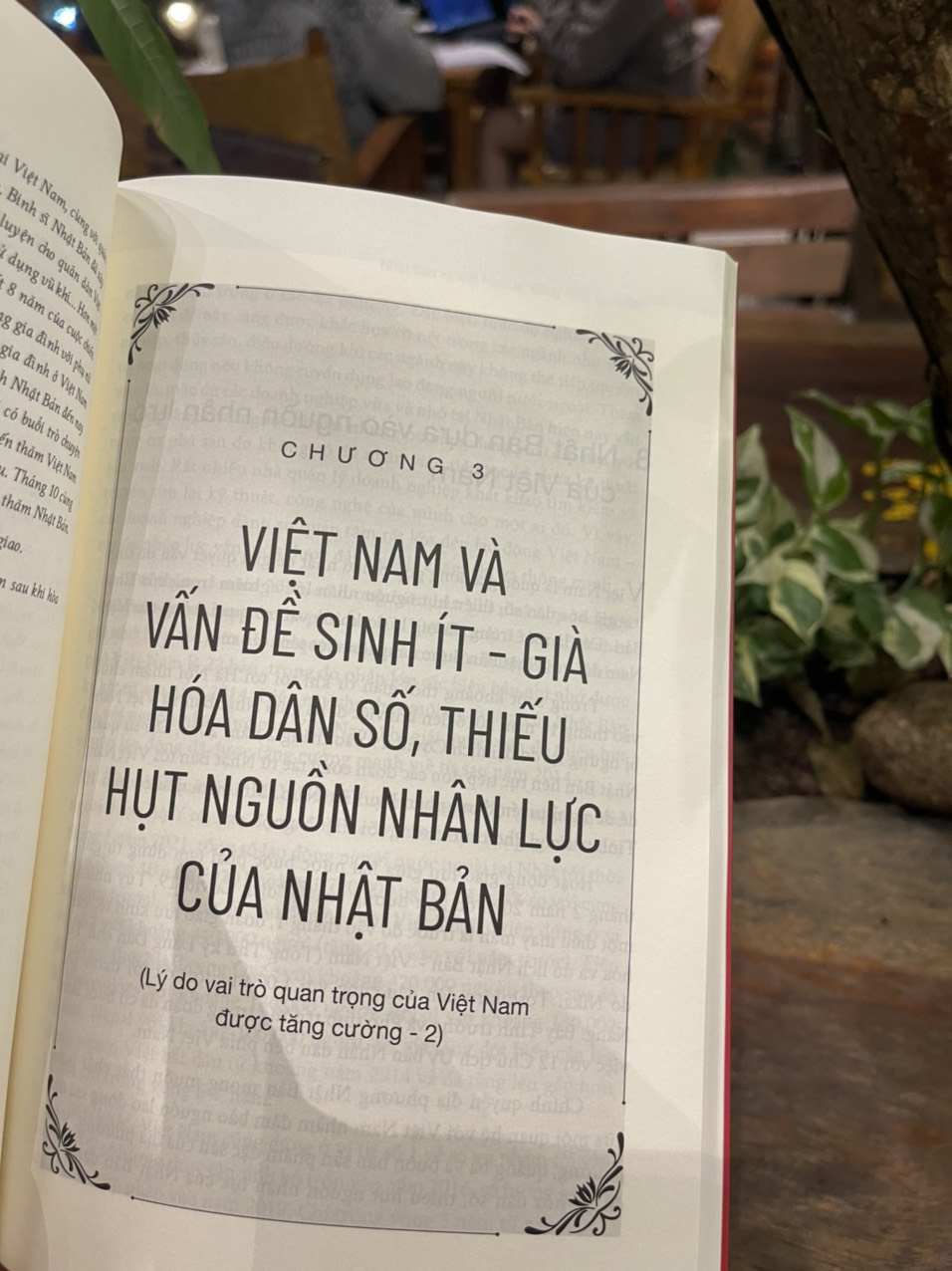 Sách - Việt Nam Và Nhật Bản Là “Đồng Minh Tự Nhiên”