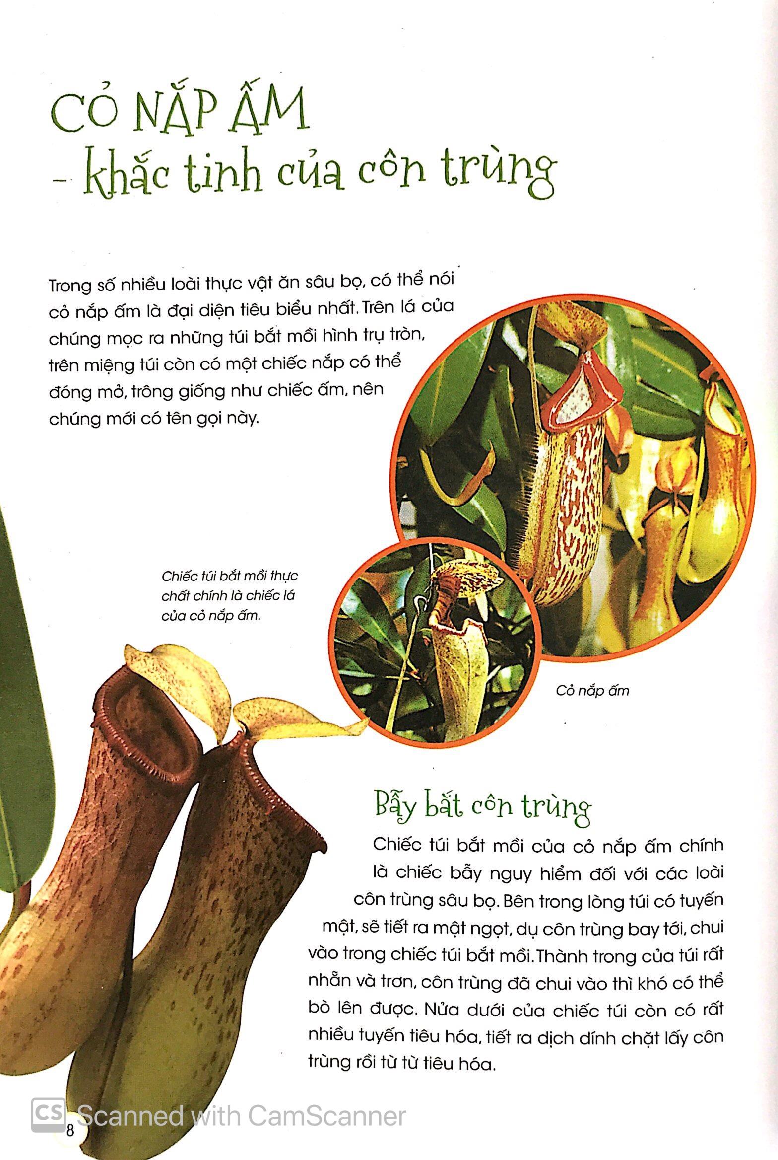 Thực Vật Thần Kỳ