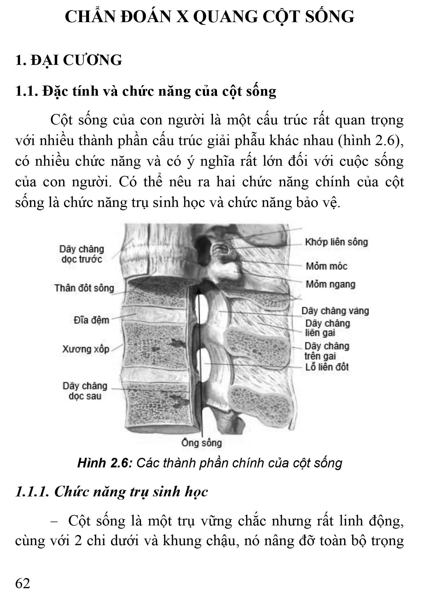 Thực Hành Lâm Sàng Thần Kinh Học - Tập 4: Chẩn Đoán Cận Lâm Sàng (Xuất bản lần thứ hai có sửa chữa, bổ sung)