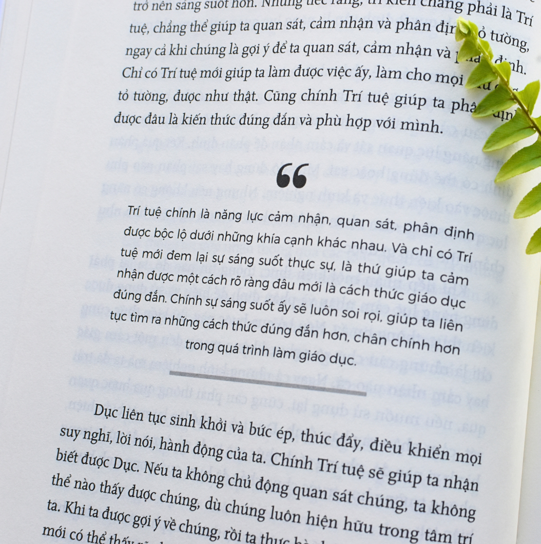 Bộ sách TẦM NHÌN KHAI PHÓNG (3 cuốn, bìa cứng) kèm hộp: TẦM NHÌN GIÁO DỤC + LỘ TRÌNH KHAI PHÓNG + BẢN CHẤT CON NGƯỜI - Tác giả: Trần Thế Công