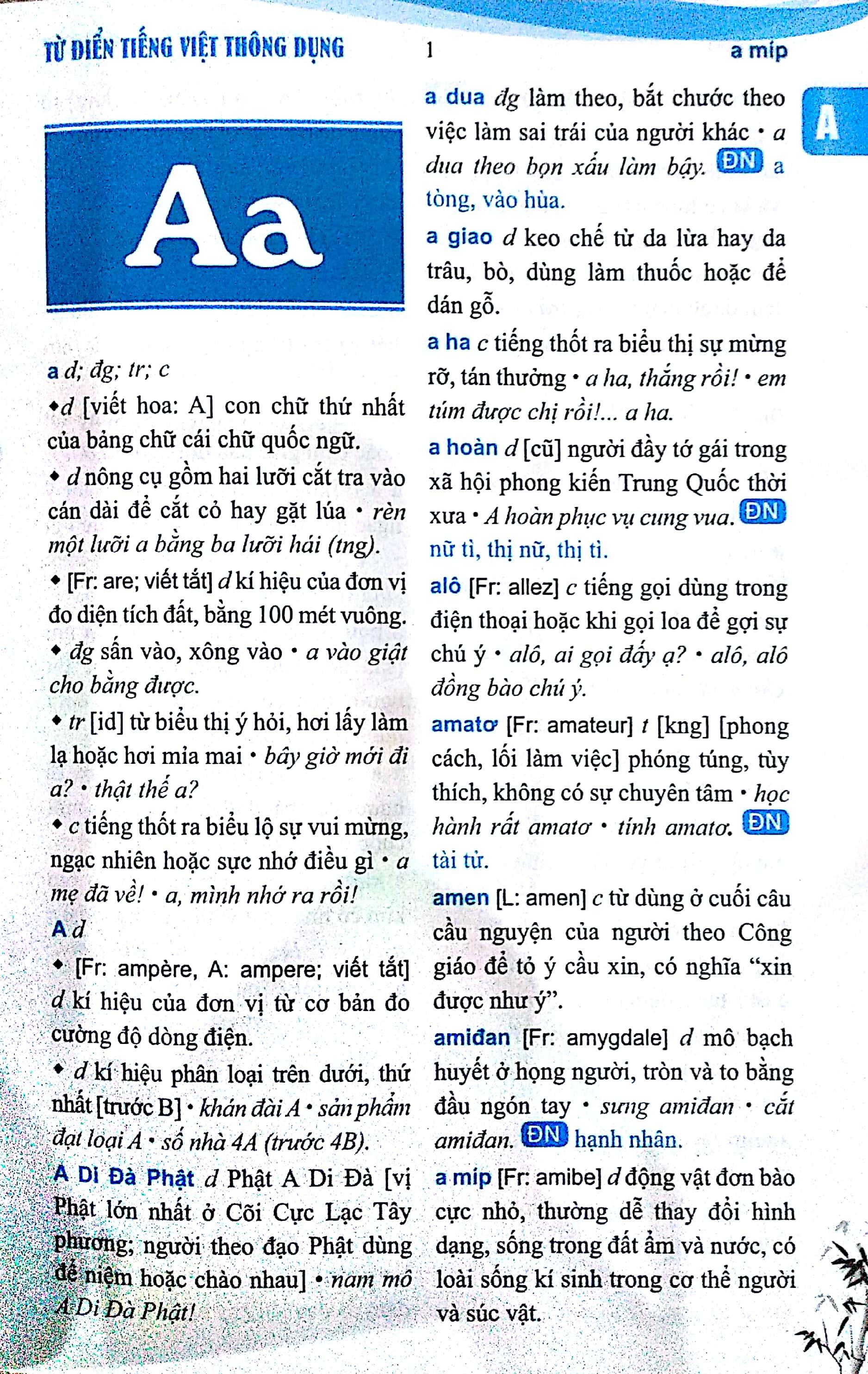 Từ Điển Tiếng Việt Thông Dụng (Bìa Đỏ)