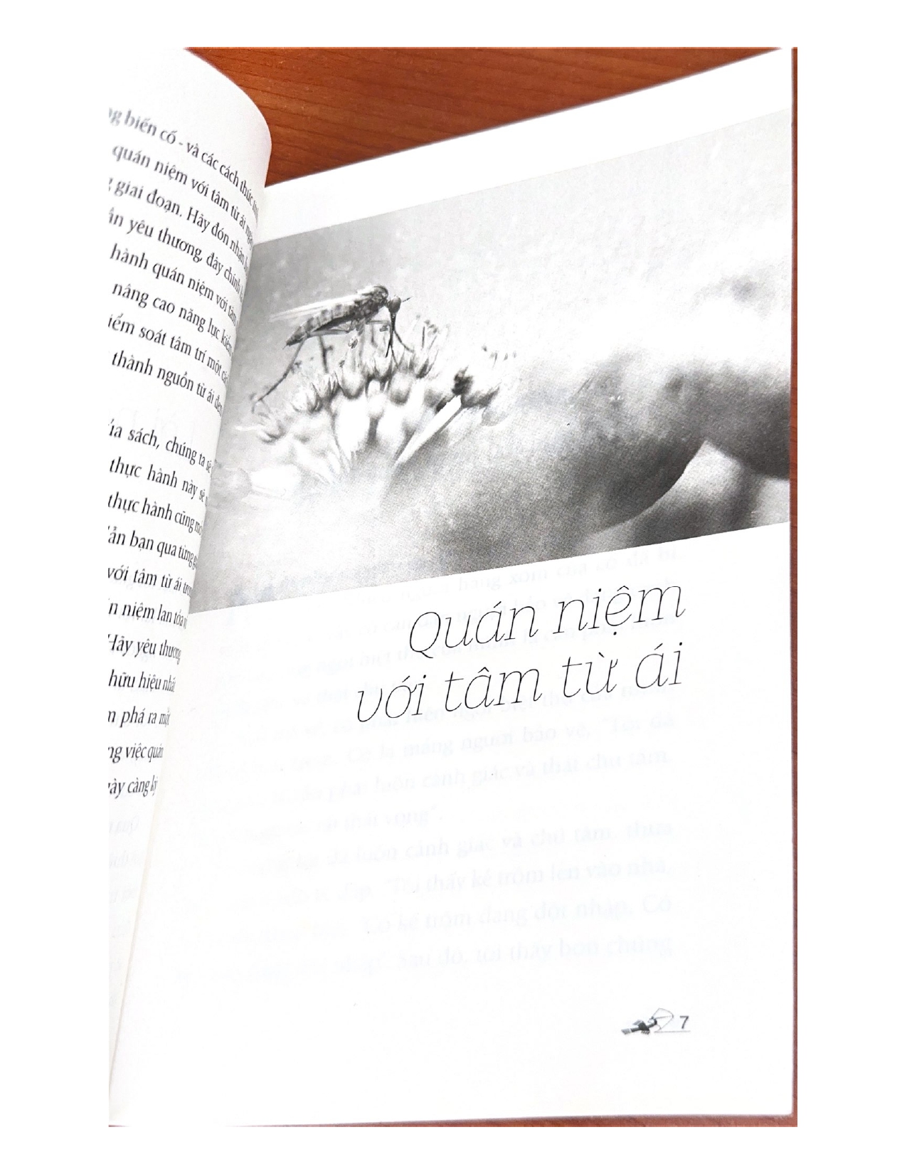 Quán Niệm Với Tâm Từ Ái