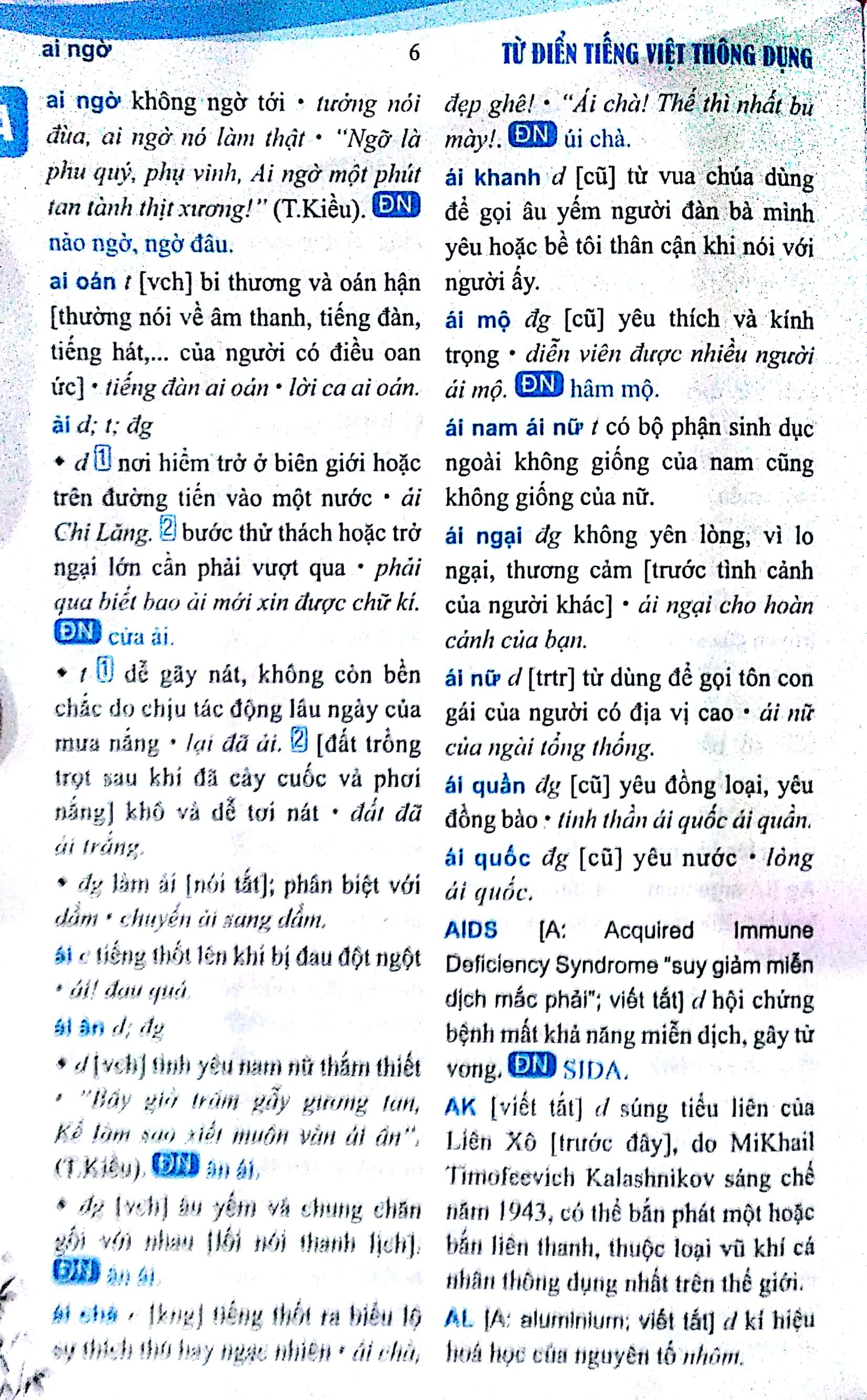 Từ Điển Tiếng Việt Thông Dụng (Bìa Đỏ)