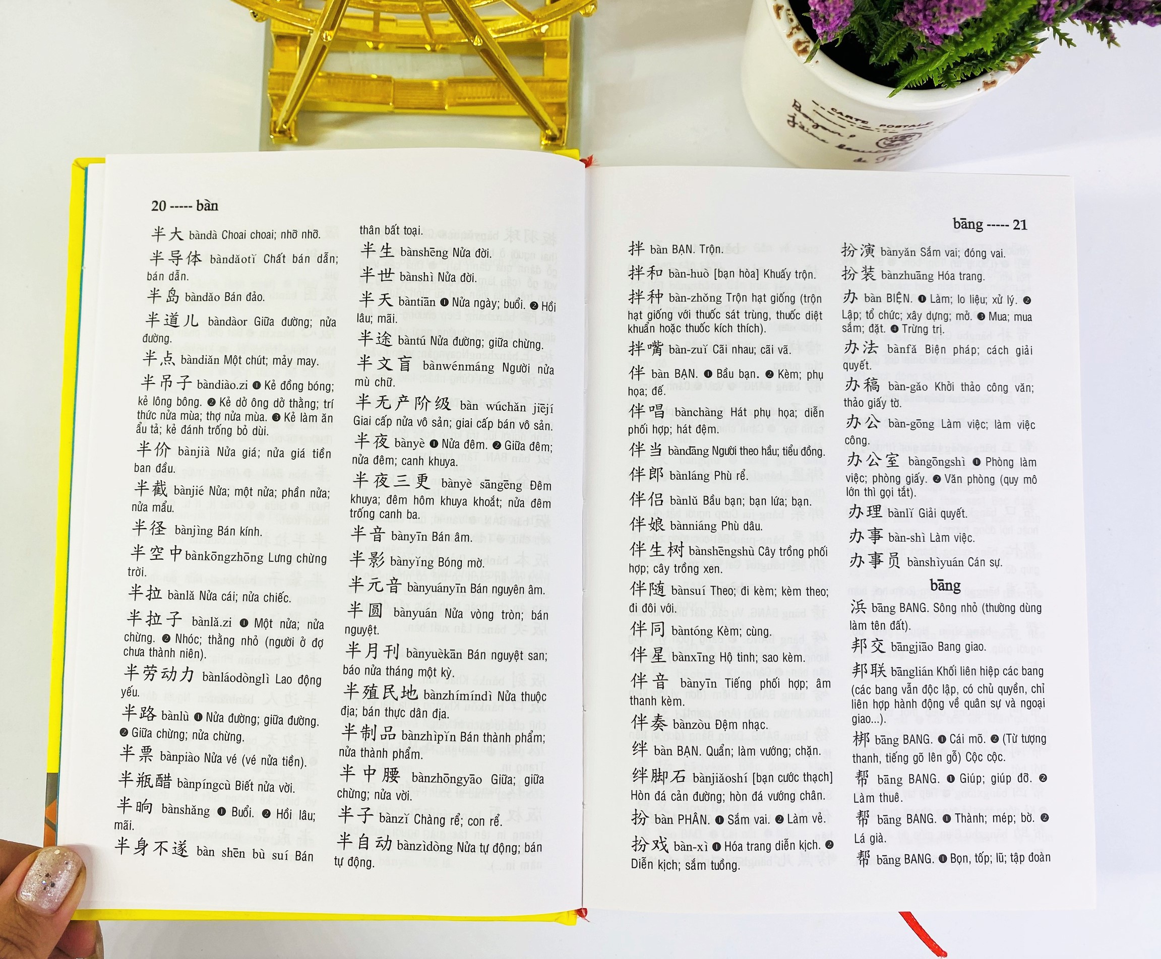 NDB - Từ điển Trung việt