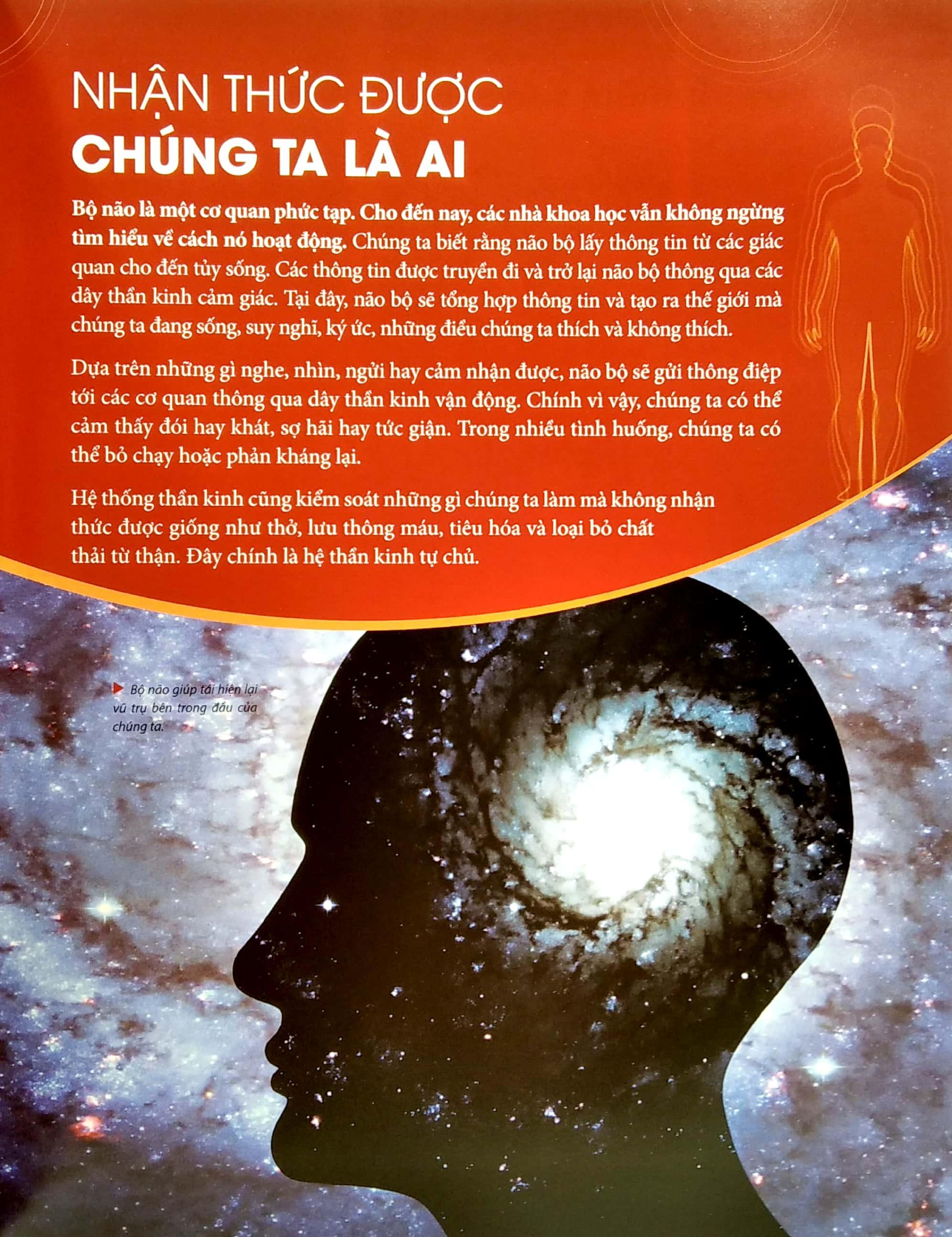 Human Body - Bách Khoa Toàn Thư Về Cơ Thể Chúng Ta