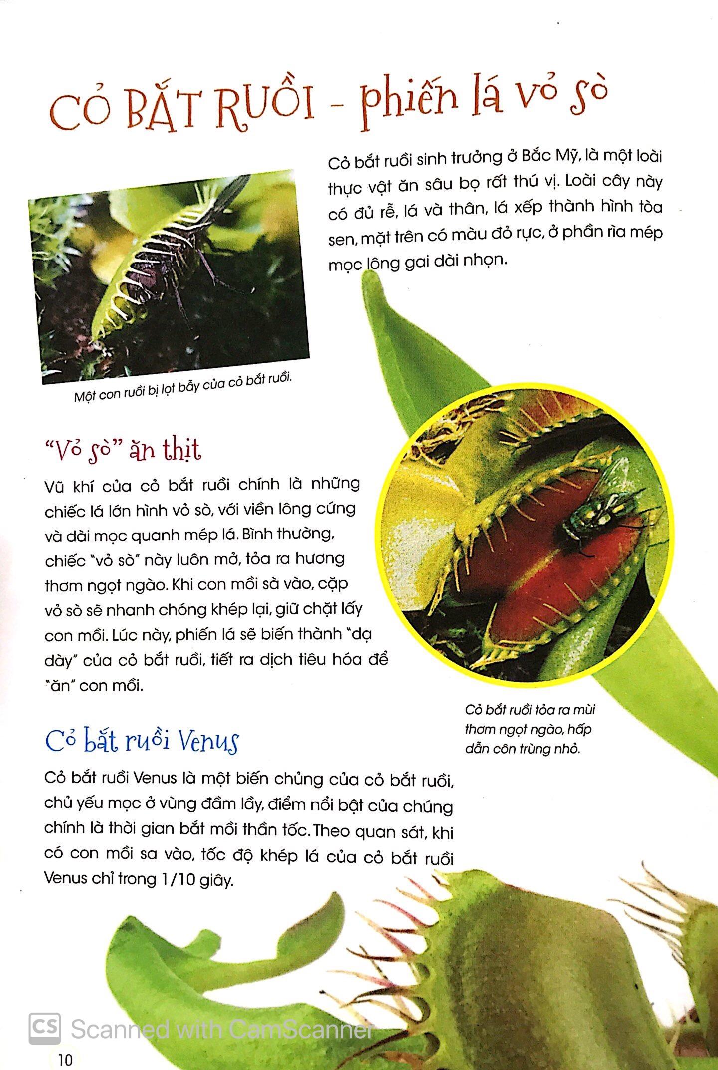 Thực Vật Thần Kỳ