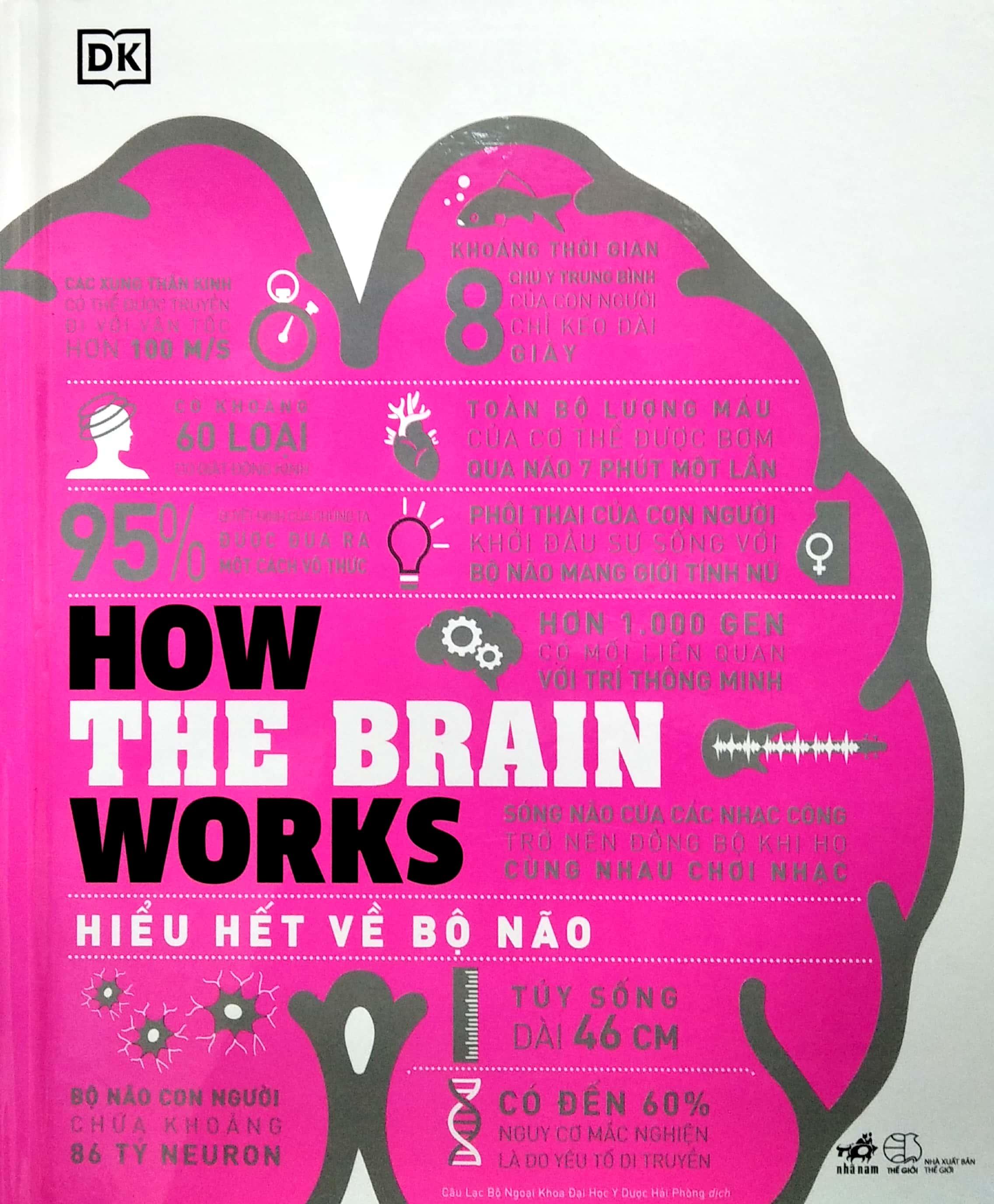 How The Brain Works - Hiểu Hết Về Bộ Não
