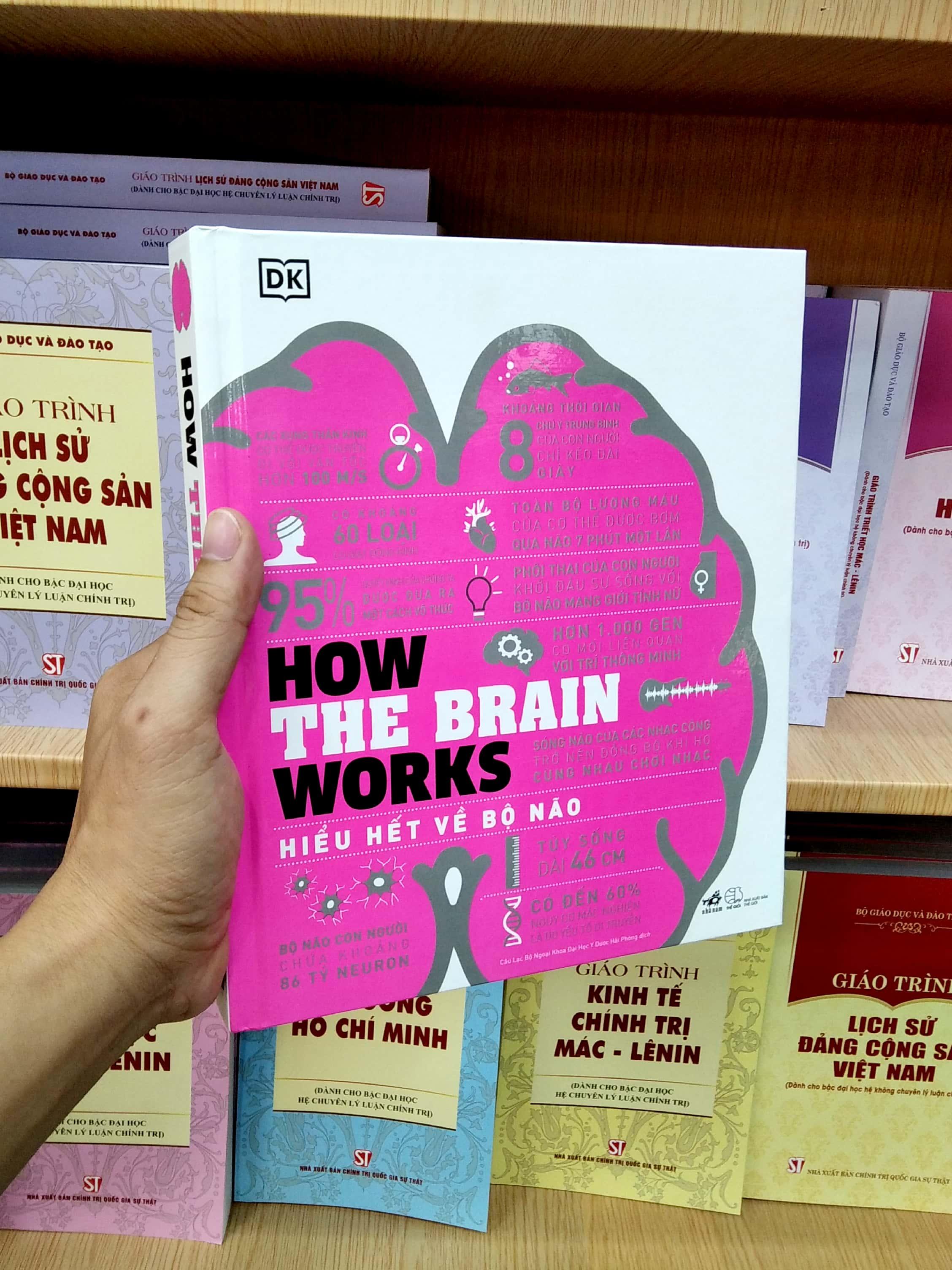 How The Brain Works - Hiểu Hết Về Bộ Não