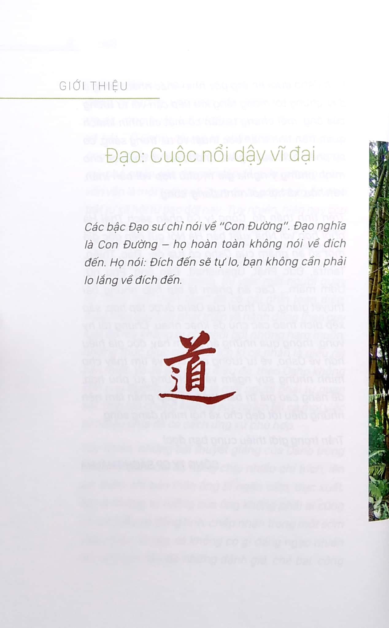 Osho - Đạo (Tái Bản 2022)