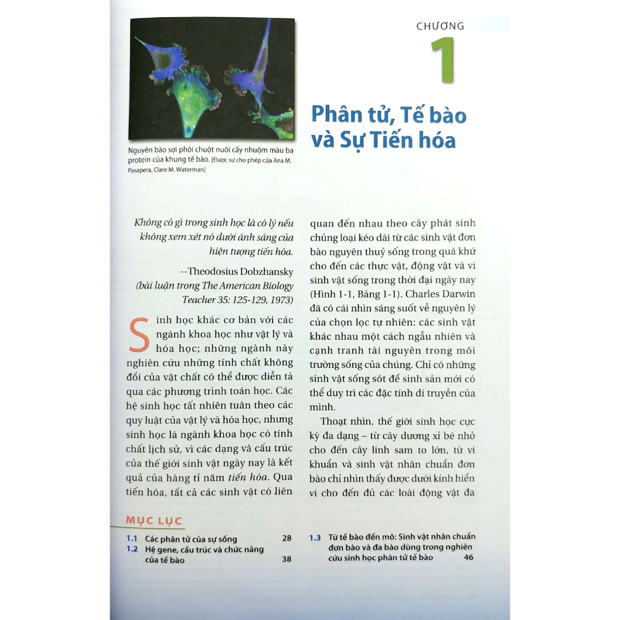 Sinh Học Phân Tử Của Tế Bào - Tập 1: Cơ Sở Hóa Học Và Phân Tử (Ấn Bản 7)