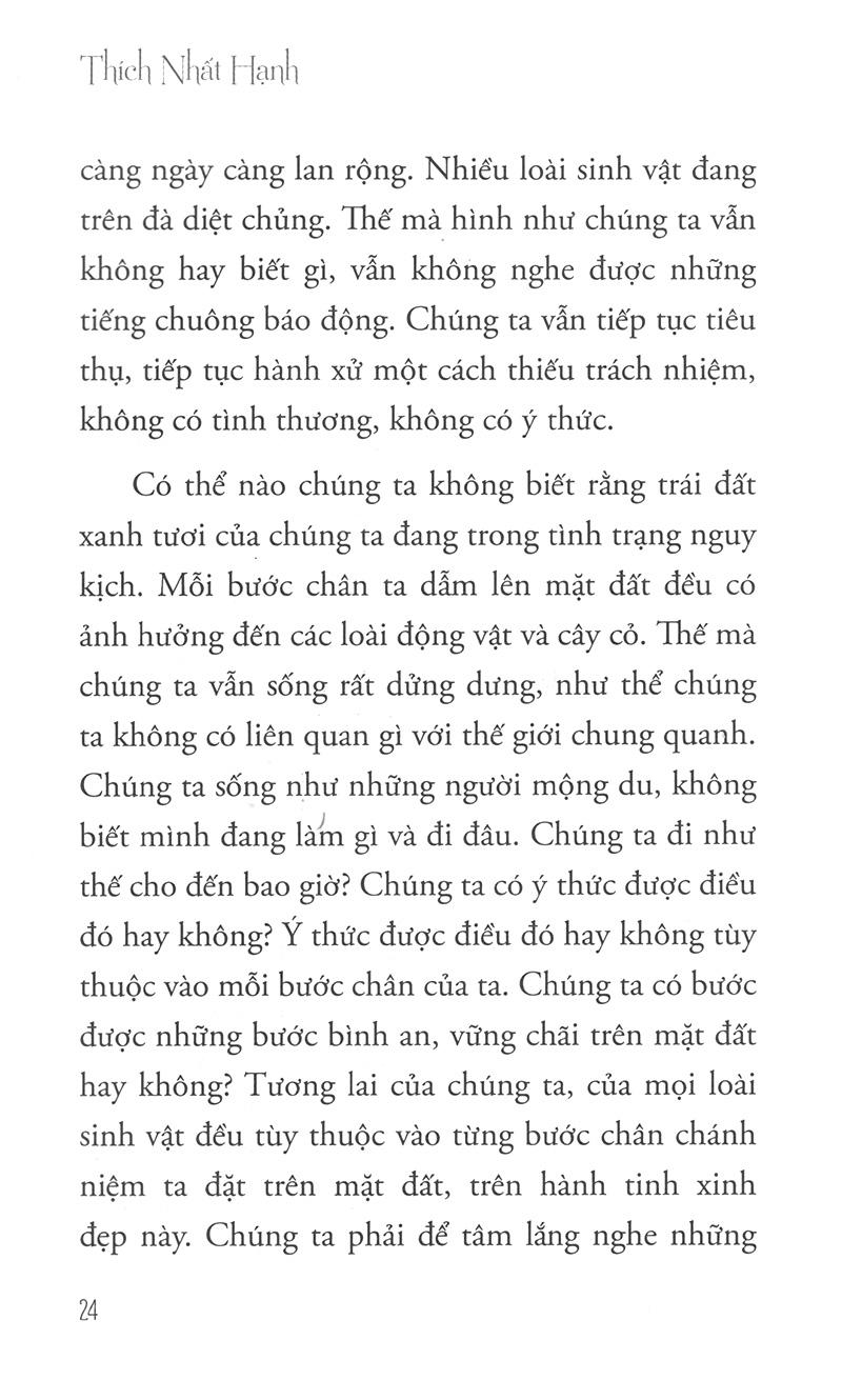 Hướng Đi Của Đạo Bụt Cho Hòa Bình Và Sinh Môi (Tái Bản 2020)