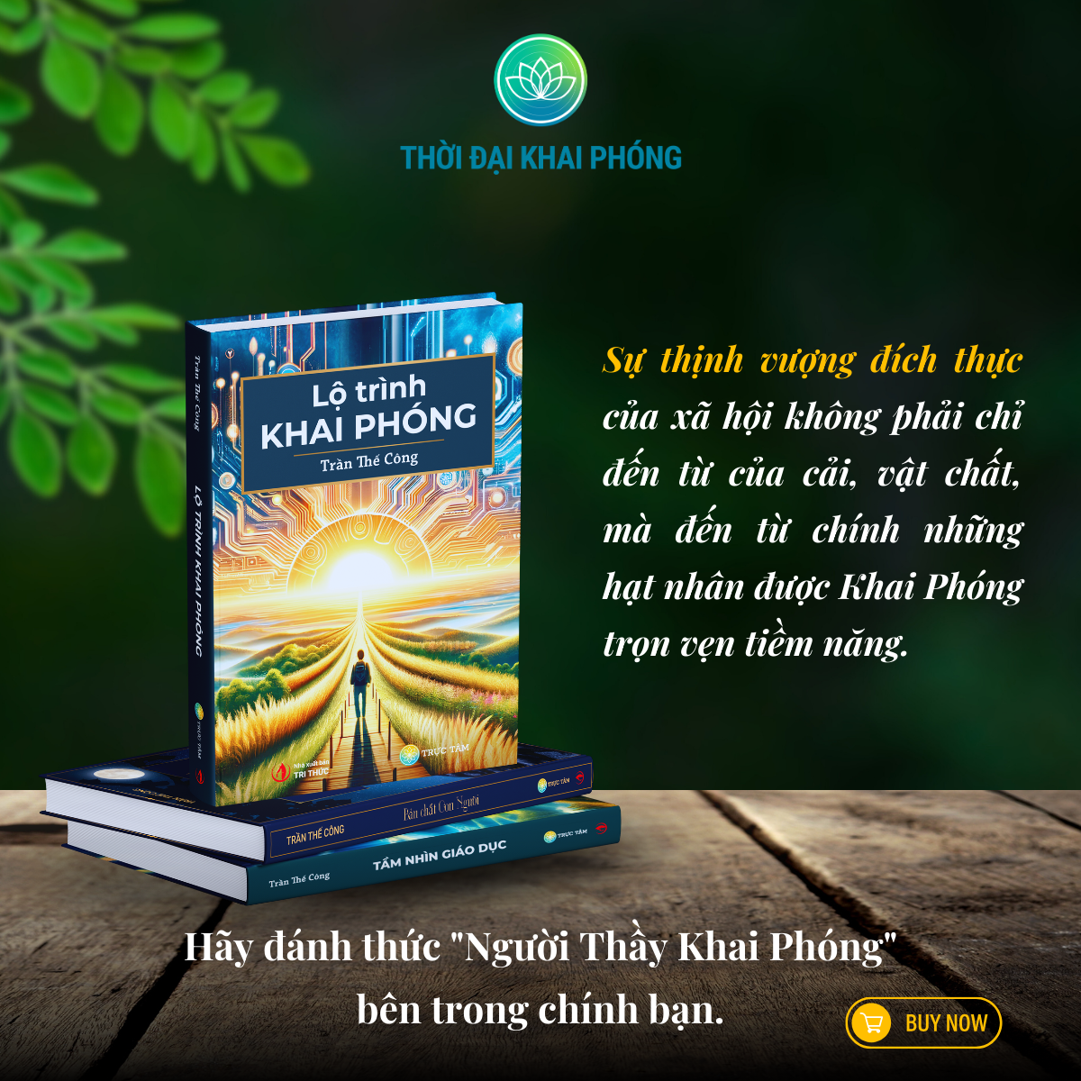 Bộ sách TẦM NHÌN KHAI PHÓNG (3 cuốn, bìa cứng) kèm hộp: TẦM NHÌN GIÁO DỤC + LỘ TRÌNH KHAI PHÓNG + BẢN CHẤT CON NGƯỜI - Tác giả: Trần Thế Công