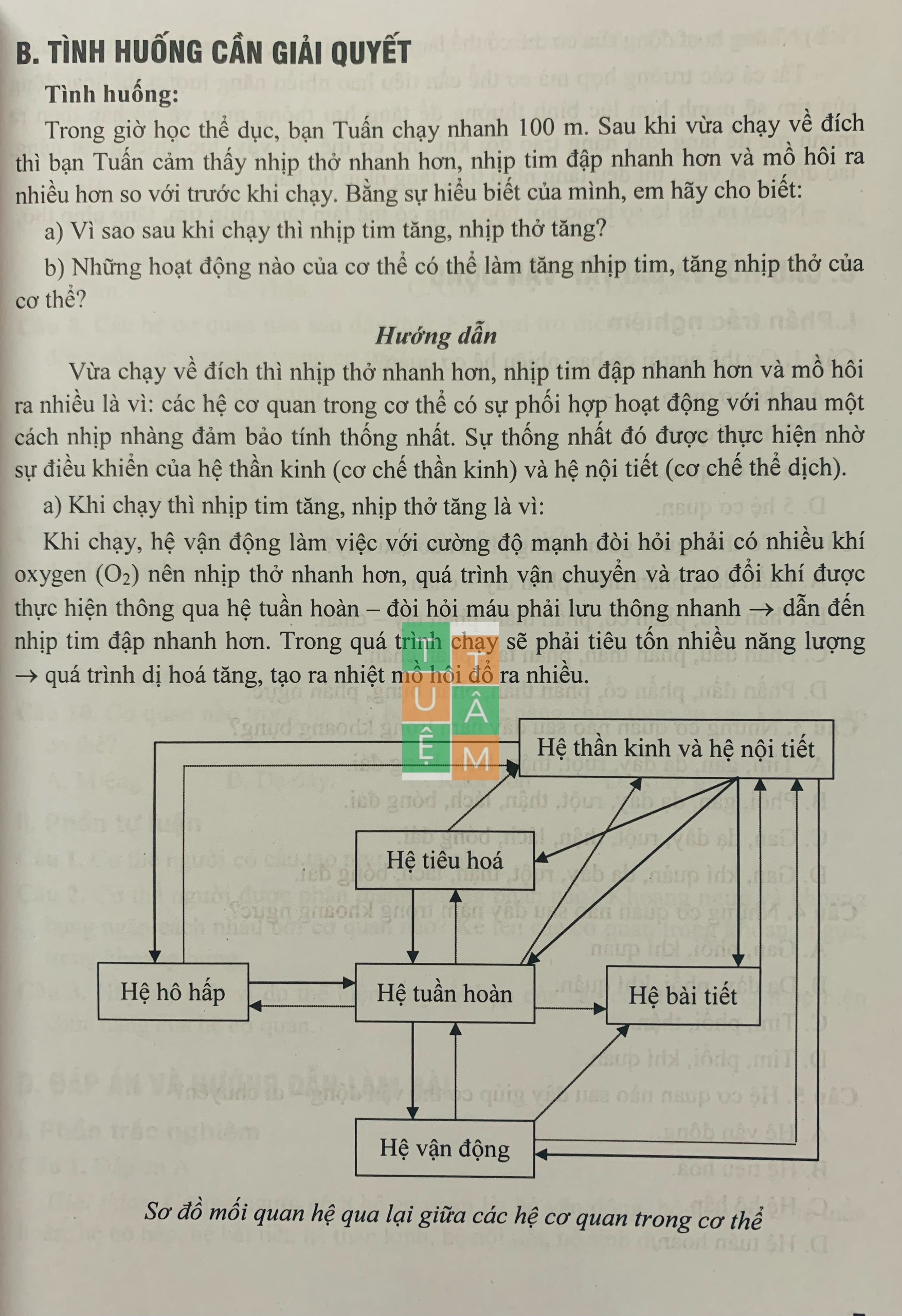 Sách - Bồi dưỡng học sinh giỏi Sinh học 8