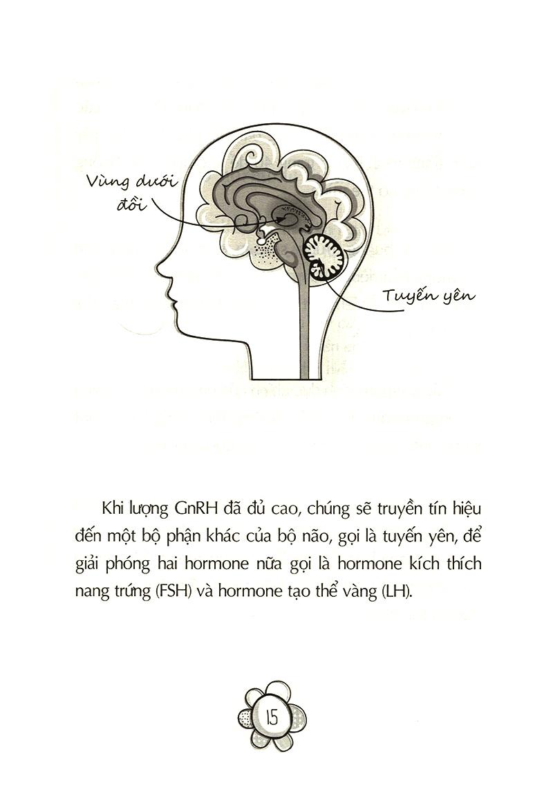 Sách Tuổi Dậy Thì - Từ "Cô Bé" Đến "Cô Nàng"