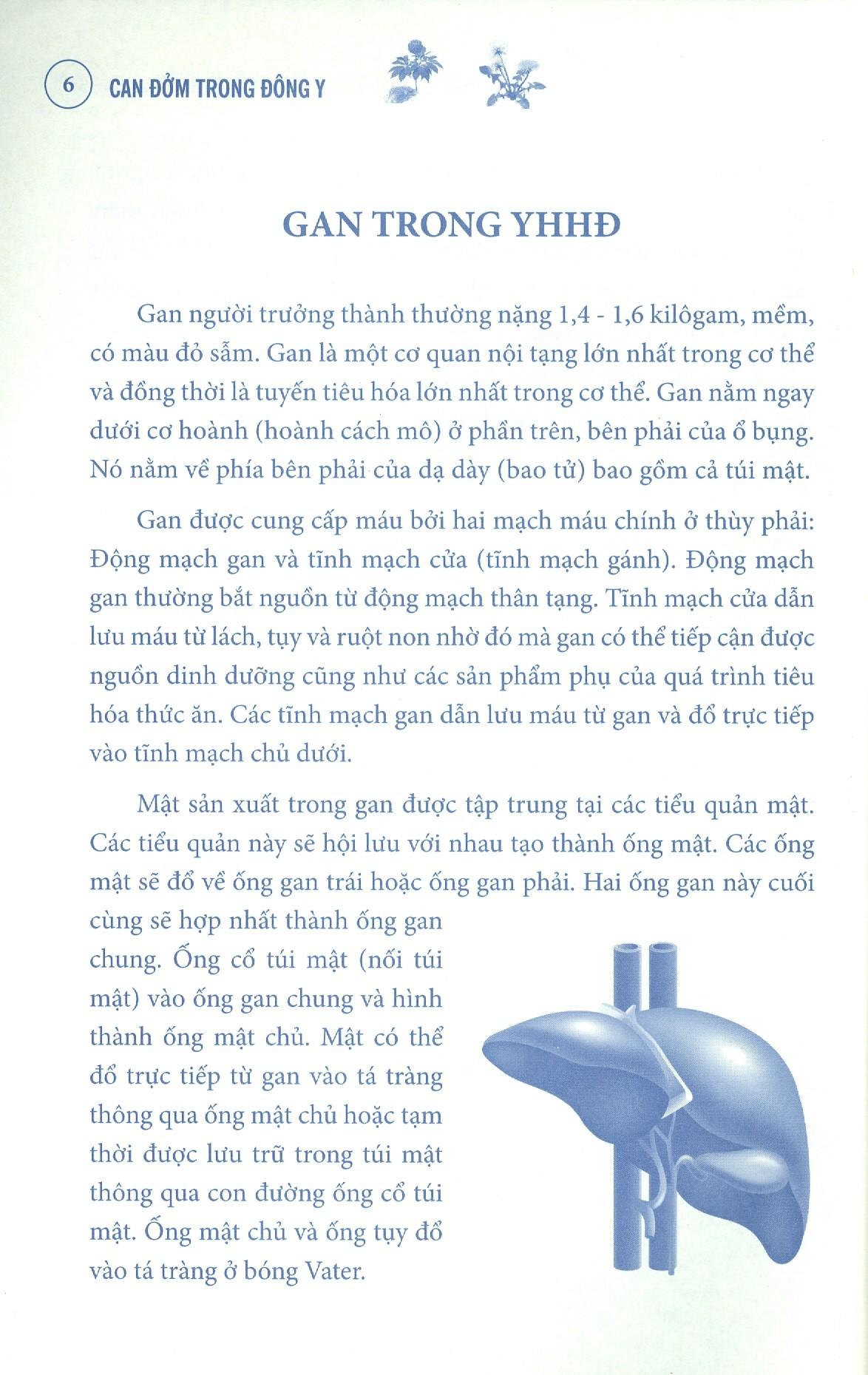 Can Đởm Trong Đông Y (Tái Bản 2020)
