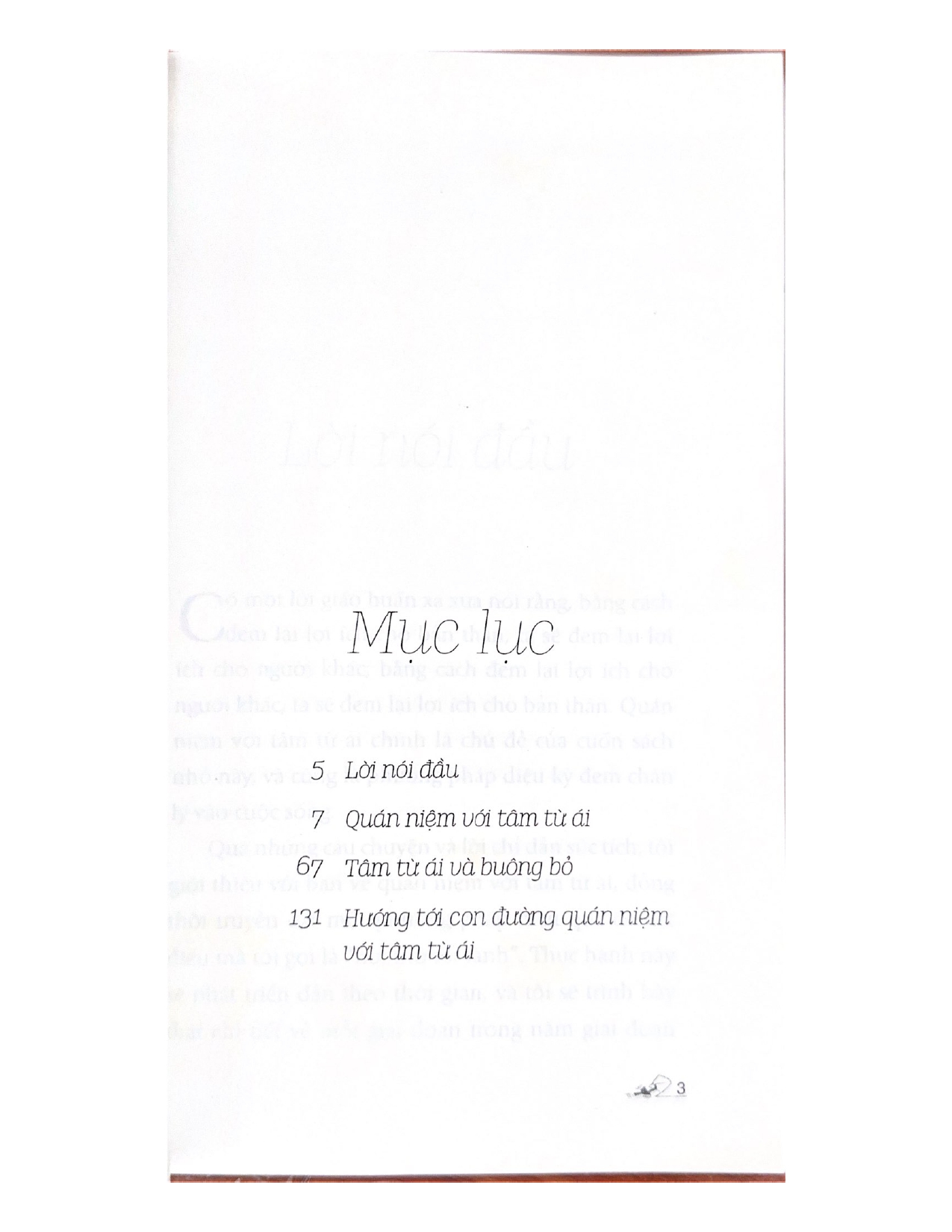 Quán Niệm Với Tâm Từ Ái