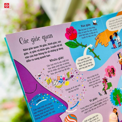 Sách - Big Book Of The Body - Cuốn Sách Khổng Lồ Về Cơ Thể Người - Đinh Tị Books