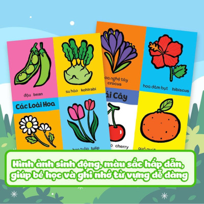 Sách - My First 100 Plants + 100 Alphabet - 100 Words - Combo 3 Cuốn - Little Rainbow - Megabook