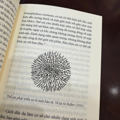 CUỘC ĐỜI CỦA NẤM – Merlin Sheldrake – Tiêu Linh dịch – Huy Hoang Bookstore – NXB Dân Trí