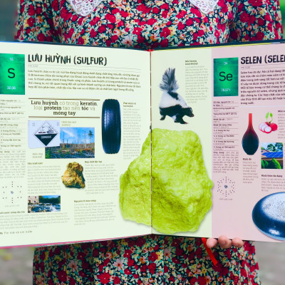 Combo sách Đ.á quý và khoáng sản, Bảng tuần hoàn hóa học - Tổng hợp kiến thức bách khoa cho mọi lứa tuổi - Hiệu sách Genbook, Bìa cứng in màu