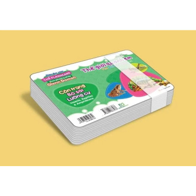 Thẻ Flashcard - The World Around You - Côn Trùng - Bò Sát - Lưỡng Cư - Insects, Reptiles & Amphibians - Bản Quyền