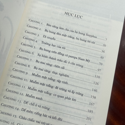 (Ấn bản đầy đủ nhất của Jean-Henri Fabre) CÔN TRÙNG KÝ – Tập 6 - Jean-Henri Fabre - An Lạc Group dịch – Huy Hoàng Bookstore – bìa mềm