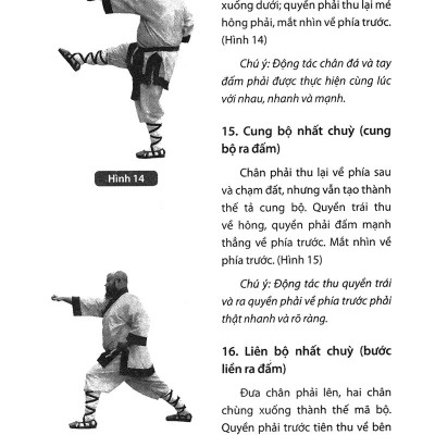 Thiếu Lâm Tự Quyền Phổ Tập 2 - Tâm Ý Môn